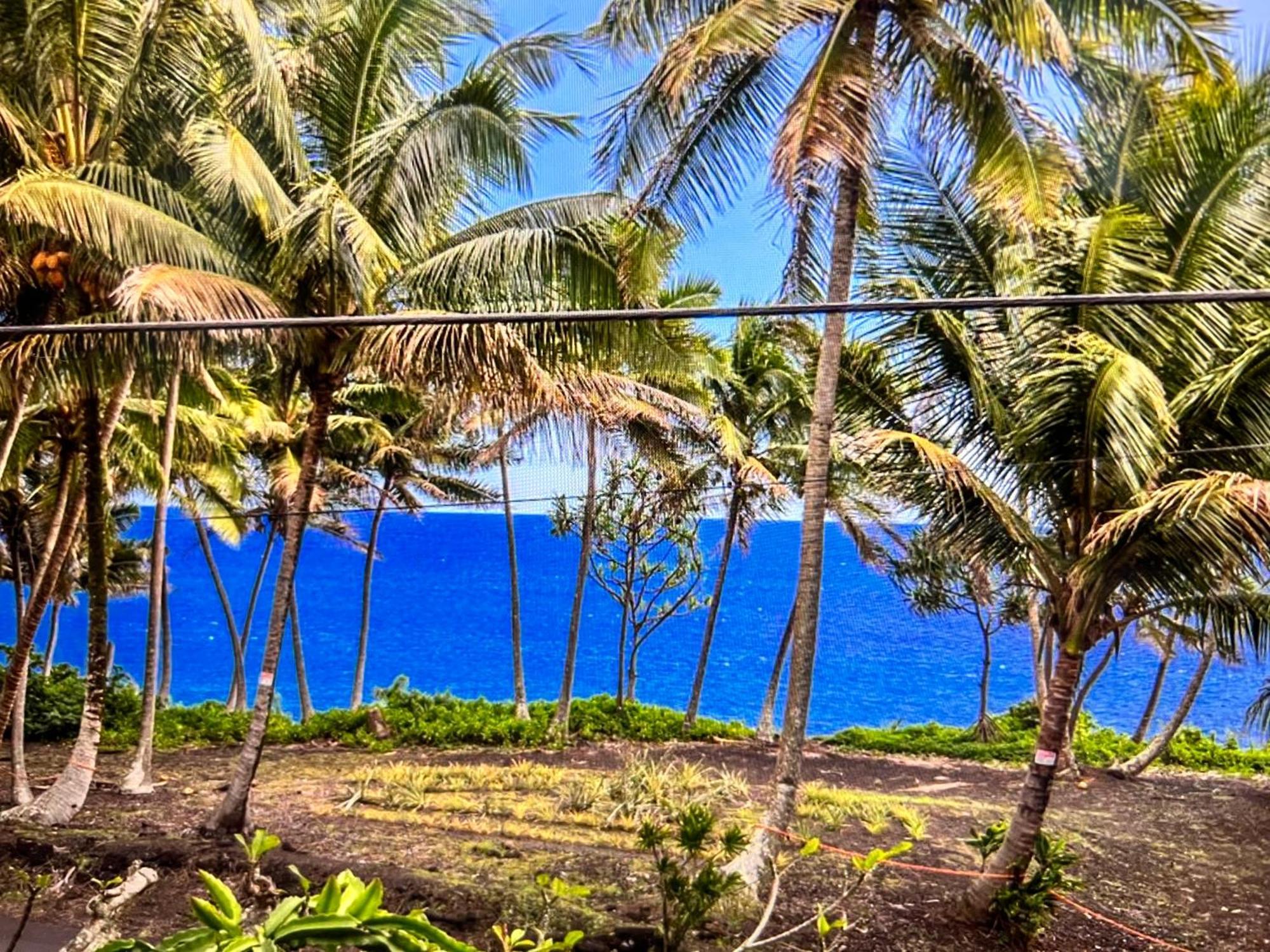 The Bali House And Cottage At Kehena Beach Hawaii Extérieur photo